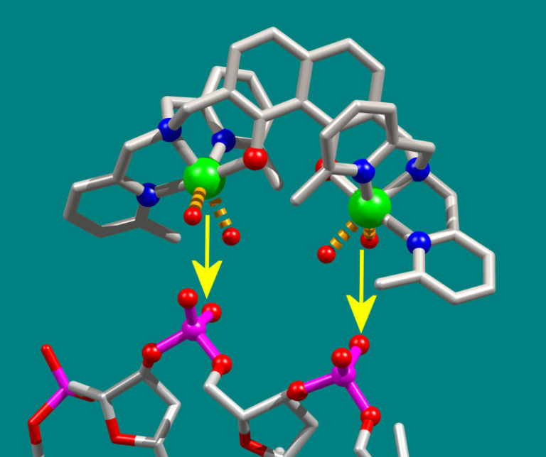 Preventing spread of cancer with copper molecules