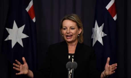 Coalition working on fifth incarnation of Medicare policy after co-payment killed