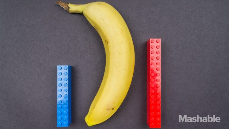 How big is the average penis? Let’s compare with household objects