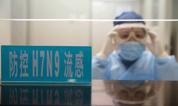 Rapidly Mutating, Deadly Strain Of Bird Flu Could Turn Into A Pandemic, Scientists Warn