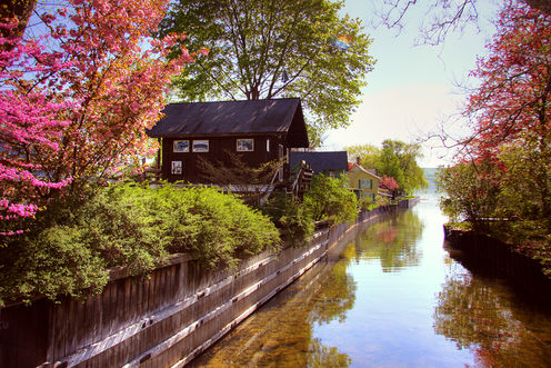 How antibiotic pollution of waterways creates superbugs