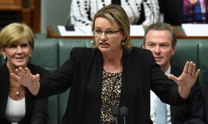 Sussan Ley rules out redirecting $1bn from hospitals to mental health services