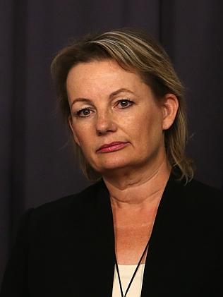 Federal Health Minister Sussan Ley said parents will lose out financially if they do not 