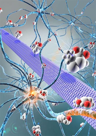 Electronic Micropump Delivers Drugs On Demand Directly Into Brain