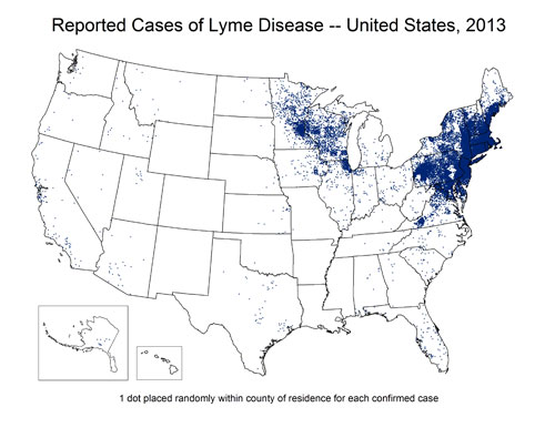 Lyme Distribution 2013