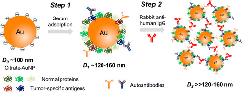 $1 Nanoparticle Test for Prostate Cancer More Sensitive than PSA