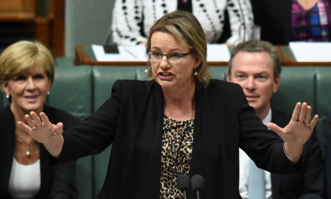 Sussan Ley won’t ‘waste time’ trying to get $1bn budget cuts through Senate