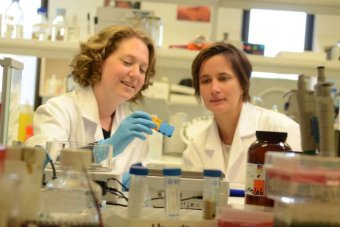 Budget 2015: Australia could miss out on crucial research as Government slashes fellowship scheme, academics say – Federal Budget 2015