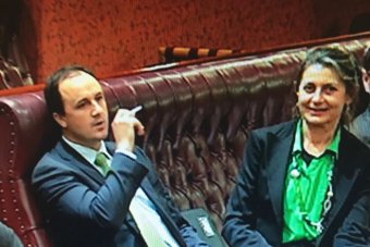 NSW MP lights up e-cigarette in Parliament