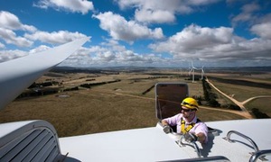 Abbott government pledges to appoint a windfarm commissioner in leaked letter