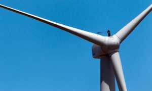 Abbott government’s windfarm commissioner pledge ‘a new low’