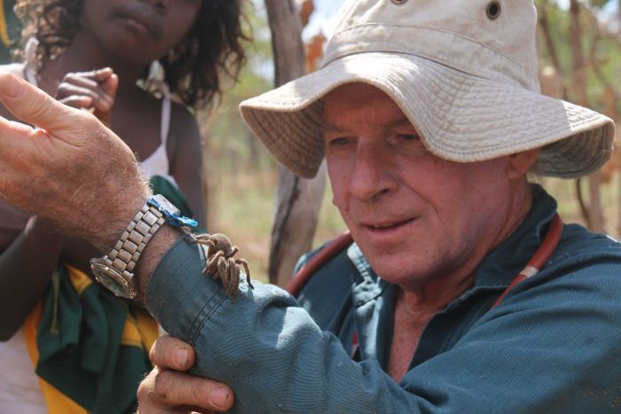 Dr Robert Raven with male Maningrida diving tarantula