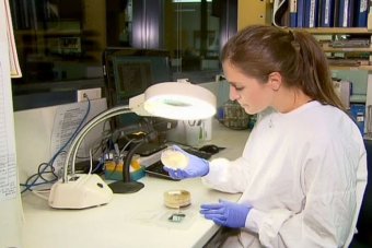 Lab technician holding a dish with the KPC superbug