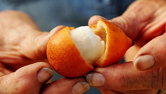 The Achacha is sweeter than the lychee and packs less sugar. Picture: Mark Calleja