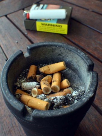 People who quit smoking gain twice as much weight as those who continue the habit: research