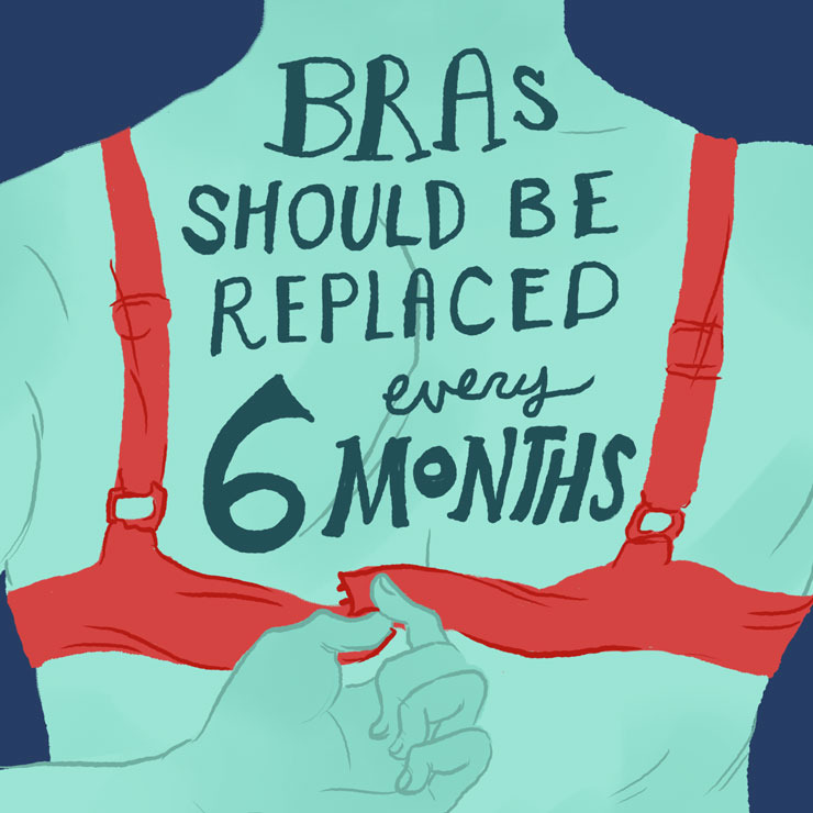 8-bras