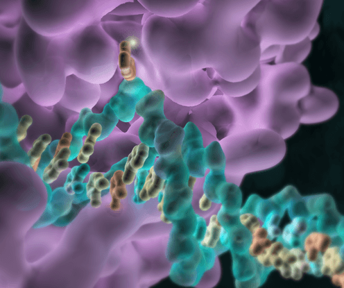 Art and science combine to reveal the inner workings of our DNA