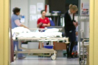 Royal Hobart Hospital to gain 40 extra nurses