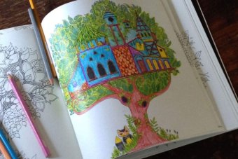 Drawing coloured in by Elaine Ford in May 2015 in The Secret Garden adult colouring book.