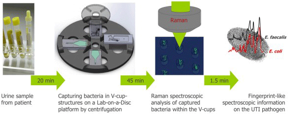 Lab-on-a-Disc Device Detects Urinary Tract Infections in About an Hour