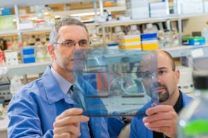 Lead authors Panos Anastasiadis, Ph.D., and Antonis Kourtidis, Ph.D. (Photo: Mayo Clinic)