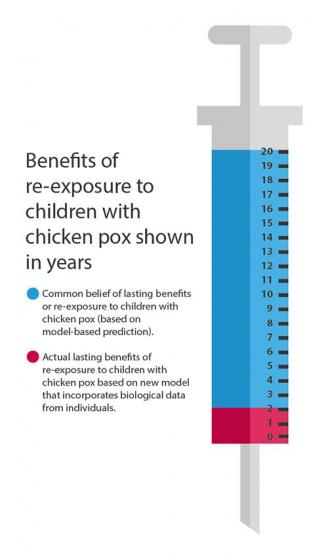 Chickenpox vaccination does increase shingles cases, but mainly in young adults