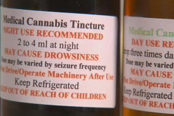 Medicinal marijuana crops a possibility in Victoria as Government moves to legalise cannabis oil