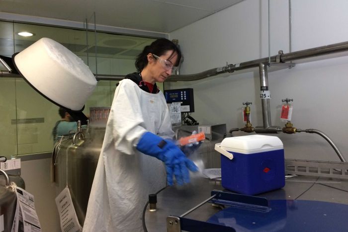 Debbie Packham in the fallopian tube biobank at the Lowy Institute