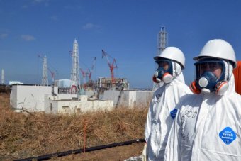 First Fukushima worker diagnosed with radiation-linked cancer: Japanese officials