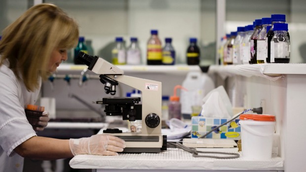 ACCC puts Sonic Healthcare’s South Australia pathology deal under the microscope