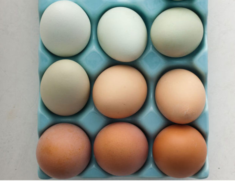 Are Brown Eggs Really Healthier Than White Eggs?