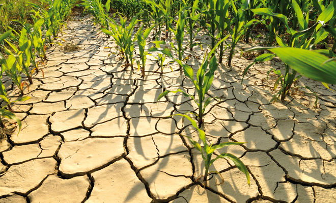 RELATED: Climate Change Threatens World Food Supply, UN Warns