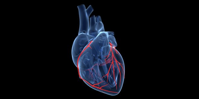 Google Aims a $50 Million Moonshot at Curing Heart Disease