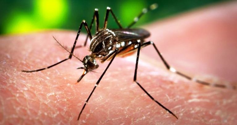 CDC Issues Travel Warning Due To Surge In Zika Virus