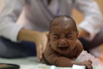 Zika virus sparks abortion debate in Brazil