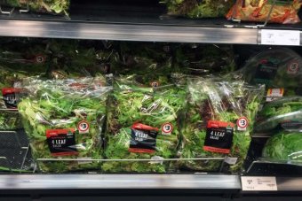 Expect more salad salmonella cases, health authorities warn