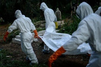 Ebola outbreak no longer poses global risk: WHO