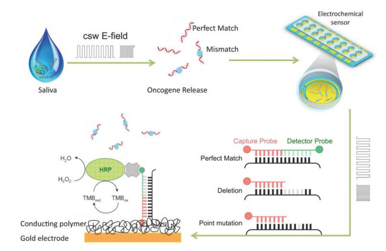 Salivary Diagnostics Detect Biomarkers for Cancer and More Using Electric Fields