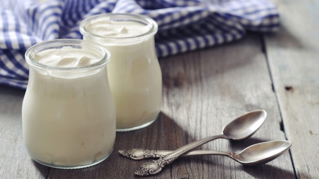 Probiotics not shown to benefit healthy adults, researchers say