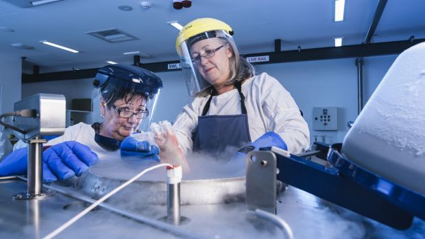 Inside Canberra Hospital’s cryogenic chamber