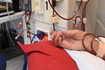 NSW has highest rate of chronic kidney disease