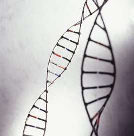 An unprecedented look at DNA damage