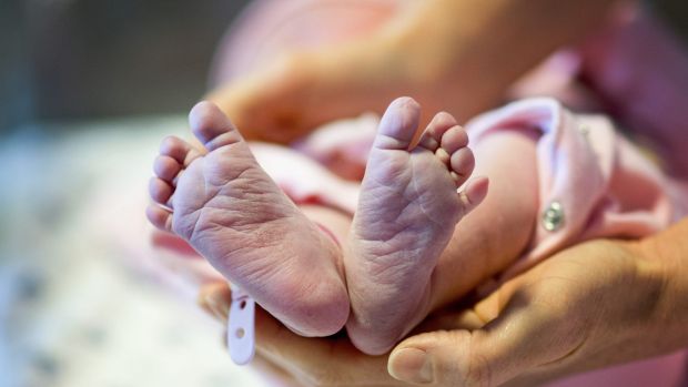 Newborn baby feet and hands of the mother.