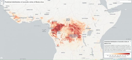 Over 20 countries environmentally suitable for Ebola transmission by bats