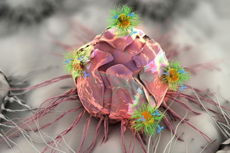 Tumor Patch Brings Three Weapons to Fight Cancer