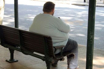 An obese man sits on a bench in Brisbane in April 2014.